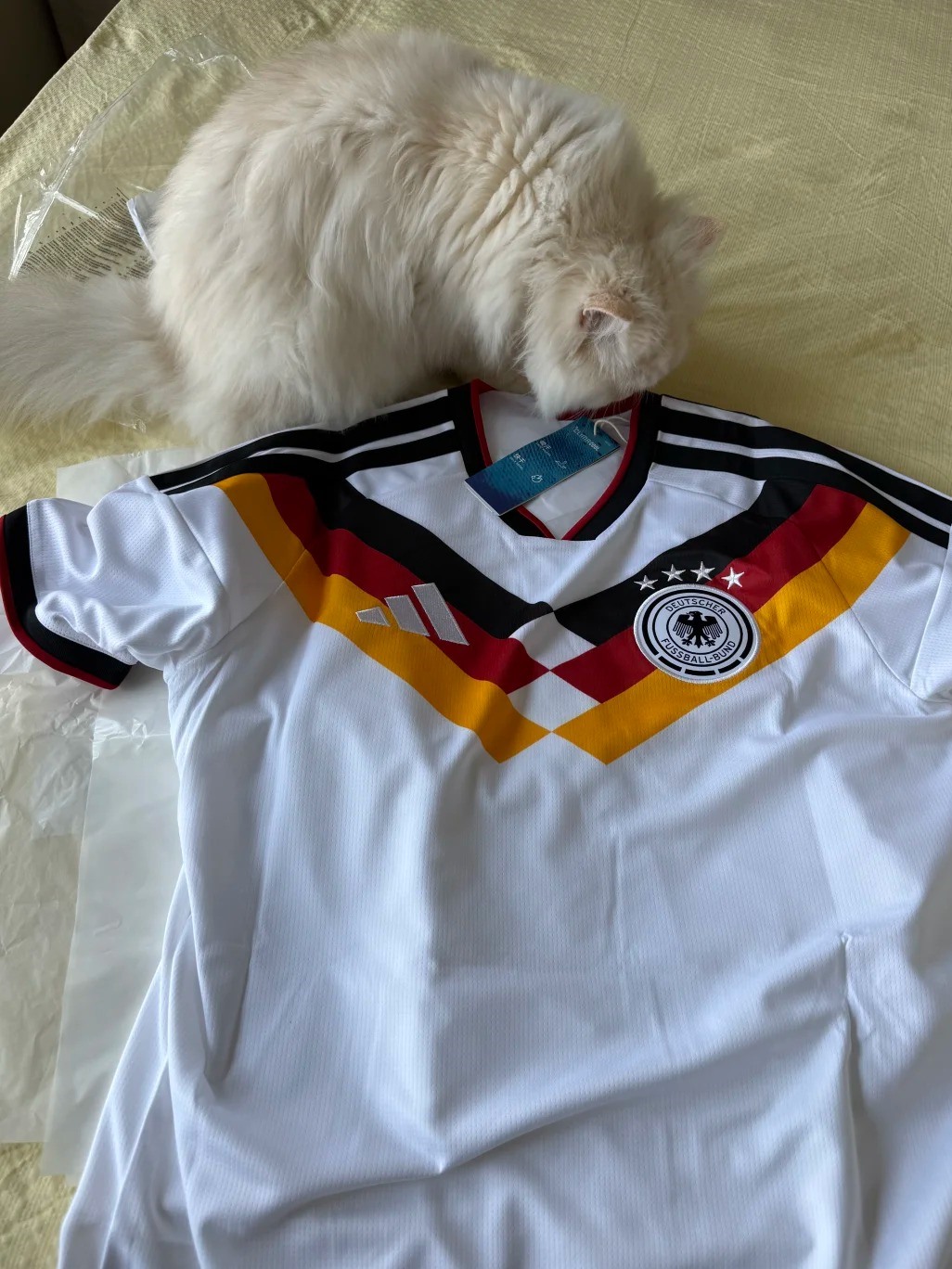 Germany shirt passed the table test customer review